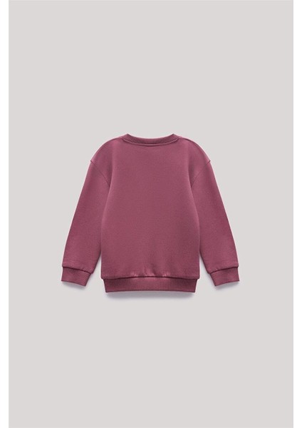 Erkek Çocuk Bordo Sweatshirt indirimleri