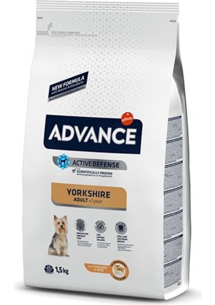 Dog Yorkshıre Terrıer 1,5 Kg