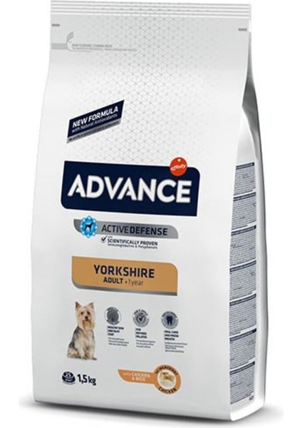 Dog Yorkshıre Terrıer 1,5 Kg modelleri