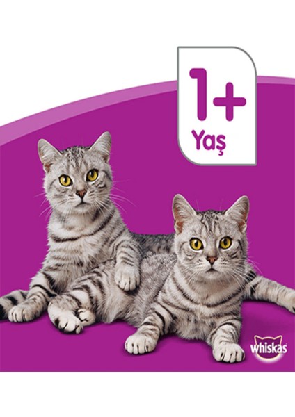 Pouch Somonlu Yetişkin Kedi Konservesi 85 gr x 28 Adet