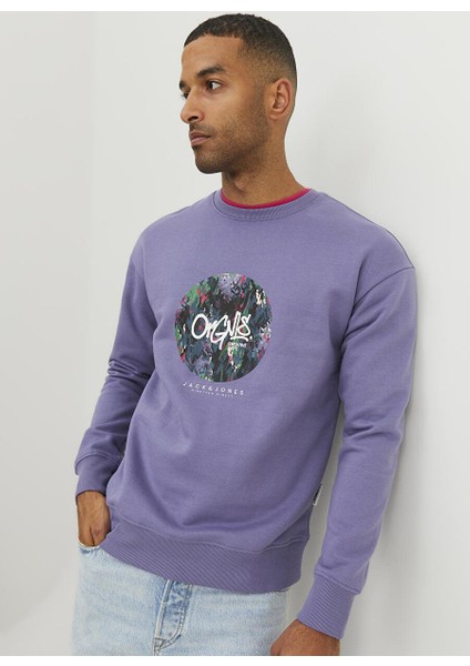 Bisiklet Yaka Mor Erkek Sweatshırt Jorsılverlake Sweat Crew Neck Ln modelleri