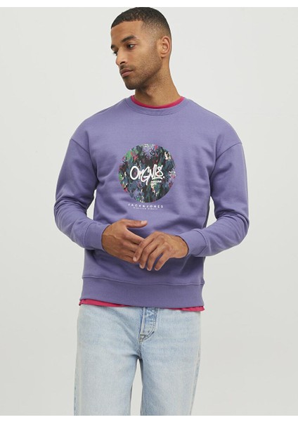 Bisiklet Yaka Mor Erkek Sweatshırt Jorsılverlake Sweat Crew Neck Ln fırsatları