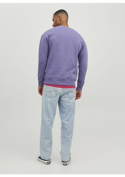Bisiklet Yaka Mor Erkek Sweatshırt Jorsılverlake Sweat Crew Neck Ln indirimleri