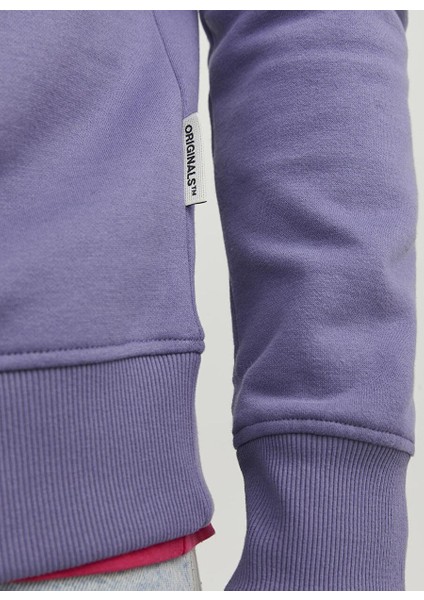 Bisiklet Yaka Mor Erkek Sweatshırt Jorsılverlake Sweat Crew Neck Ln