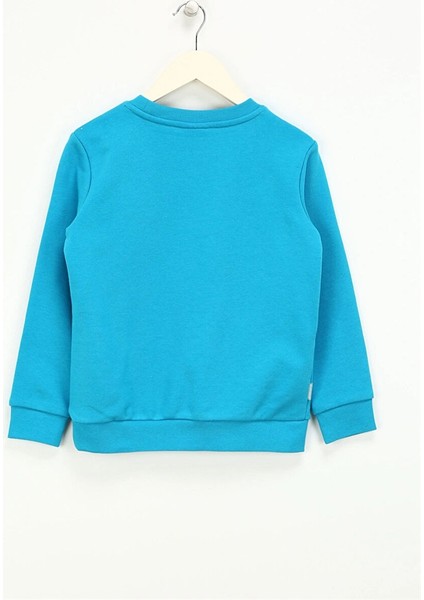 Nakışlı Erkek Saks Sweatshırt HRBTXT304 Haribo Çocuk Sweatshirt modelleri