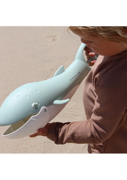 - Whale Green Kum Toplama Oyuncağı