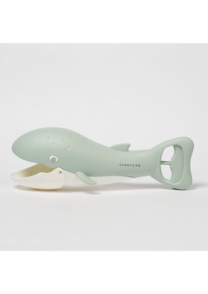 - Whale Green Kum Toplama Oyuncağı