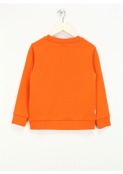 Baskılı Erkek Turuncu Sweatshırt HRBTXT305 Haribo Çocuk Sweatshirt modelleri