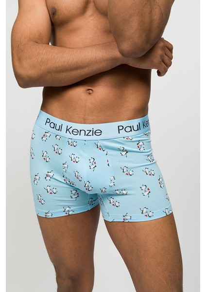 Desenli Erkek Boxer - Couple Collection Penguin Love fırsatları