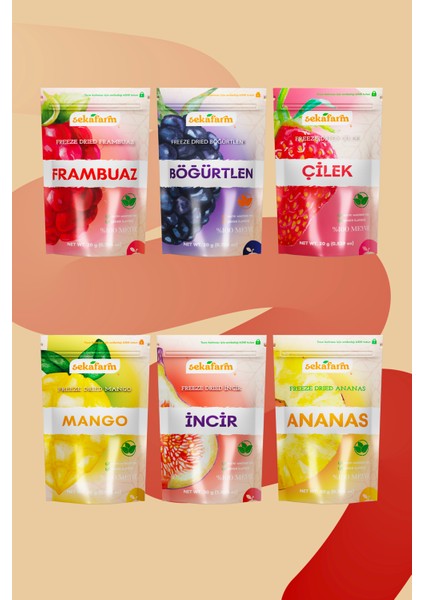 Kuru Meyve Cipsi En Sevilenler 6'lı Set