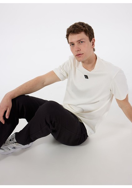 Bej Erkek Regular Fit T-Shirt 50505201_DALILE 10231453 01