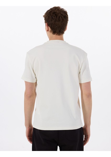 Bej Erkek Regular Fit T-Shirt 50505201_DALILE 10231453 01