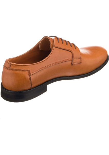 45,46,47,48,49,50 Numaralarda NV1086 Taba Deri Neolit Taban Büyük Numara Erkek Klasik Ayakkabı