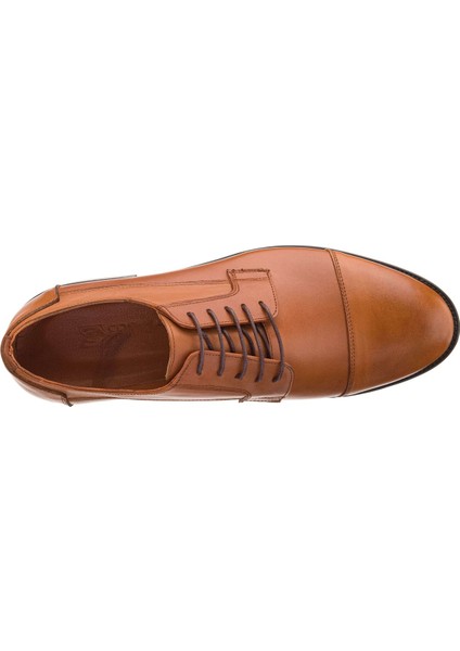 45,46,47,48,49,50 Numaralarda NV1088 Taba Neolit Taban Büyük Numara Erkek Klasik Ayakkabı