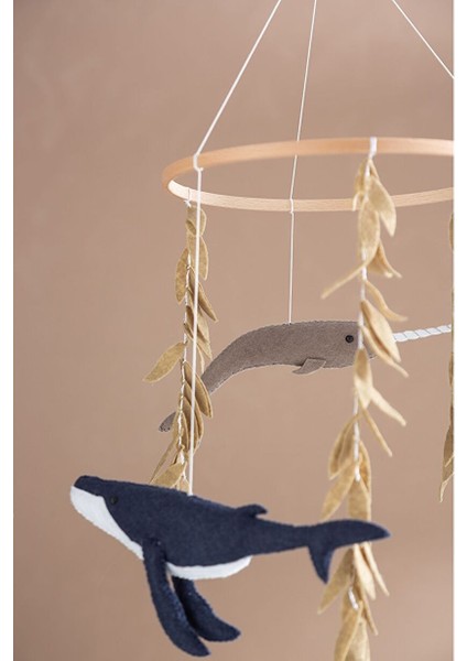Ocean Dönence