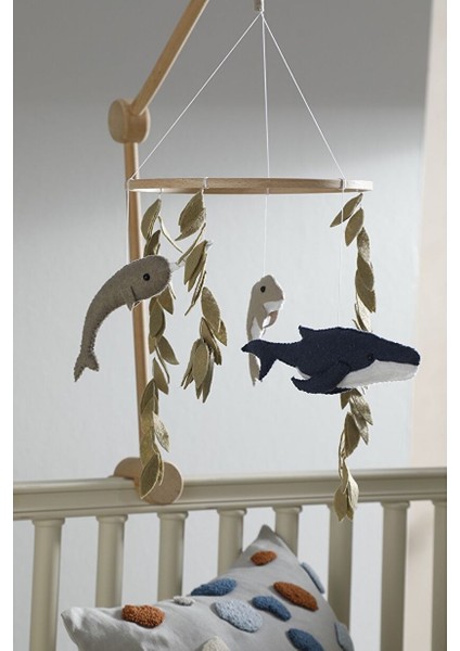 Ocean Dönence