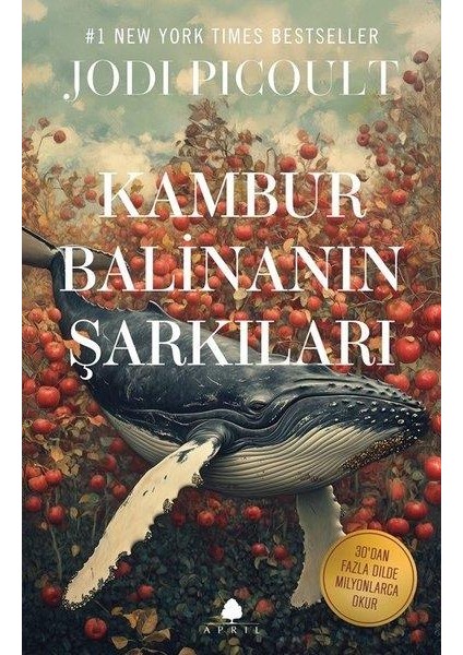 Kambur Balinanın Şarkıları