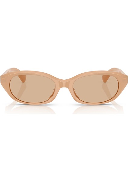 Ray-Ban Explorer V RB3845 Geometrik Gri Unisex Polarize Güneş Gözlüğü