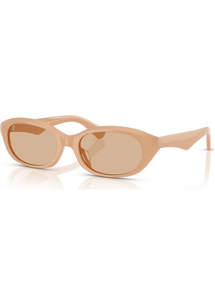 Ray-Ban Explorer V RB3845 Geometrik Gri Unisex Polarize Güneş Gözlüğü