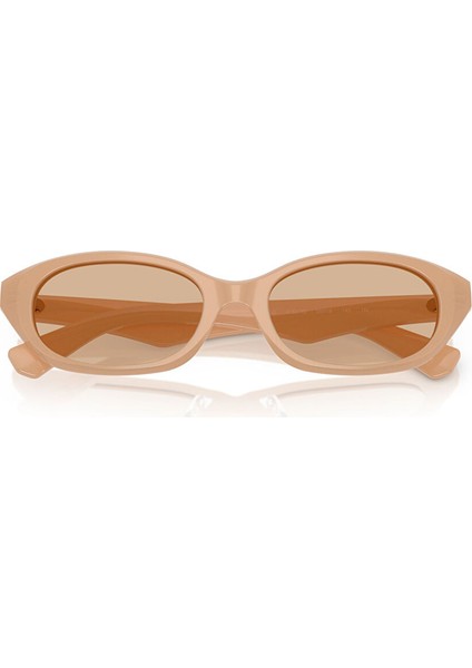 Ray-Ban Explorer V RB3845 Geometrik Gri Unisex Polarize Güneş Gözlüğü