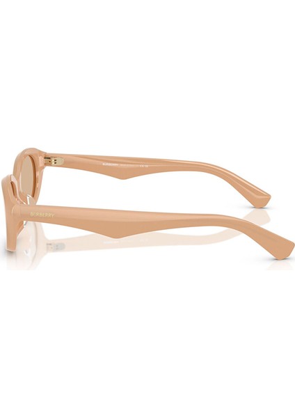 Ray-Ban Explorer V RB3845 Geometrik Gri Unisex Polarize Güneş Gözlüğü