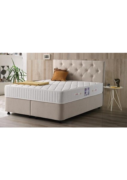Beta Full Ortopedik Antialerjik 24 cm 140*190 Yatak-Baza-Başlık Seti