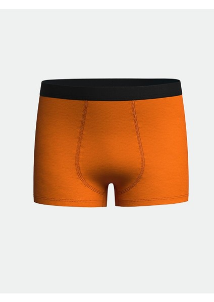 Baskılı Erkek Çocuk Boxer 3'lü fiyatları