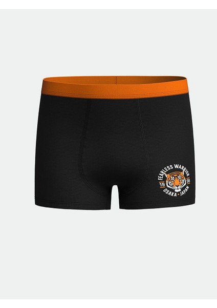 Baskılı Erkek Çocuk Boxer 3'lü fırsatları