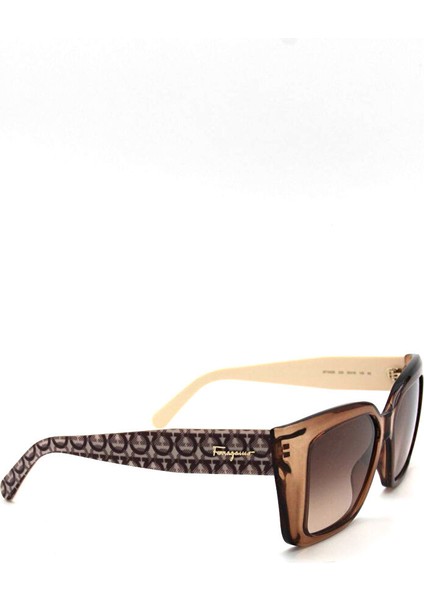 Salvatore Ferragamo Sf 1042S 232 Kadın Güneş Gözlü modelleri