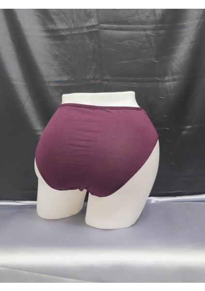 Batu Model Kadın Yüksek Bel Büyük Beden 3lü Külot