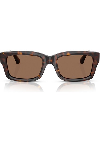 Ray-Ban Clubmaster Reverse RBR0504S Köşeli Kahve Unisex Güneş Gözlüğü
