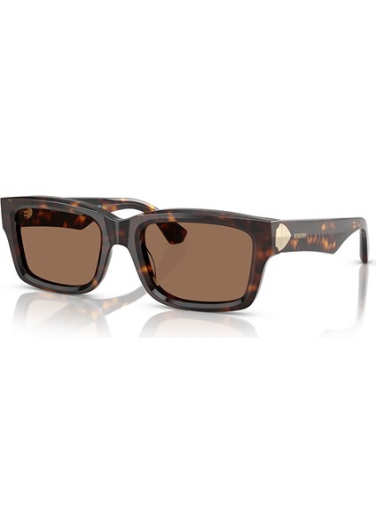 Ray-Ban Clubmaster Reverse RBR0504S Köşeli Kahve Unisex Güneş Gözlüğü