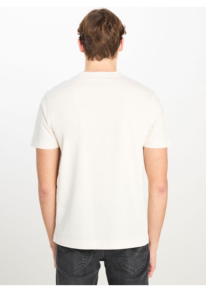 Ekru Erkek Regular Fit T-Shirt L2510323102 Regular Fit Grafik