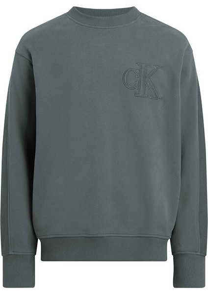 Applıque Crew Neck Nakışlı Bisiklet Yaka Relaxed Yeşil Erkek Sweatshirt J30J325634PSL