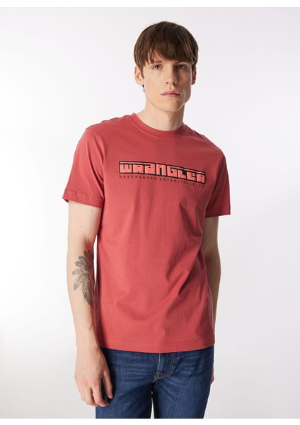 Bisiklet Yaka Gül Kurusu Erkek T-Shirt W241199620 Bisiklet Yaka T-Shirt modelleri