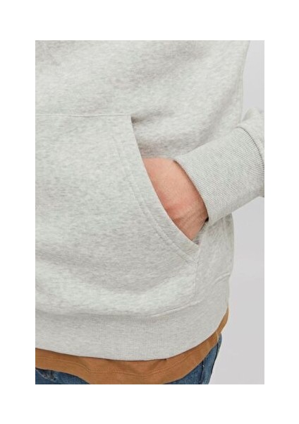 Erkek Sweatshirts 12242197