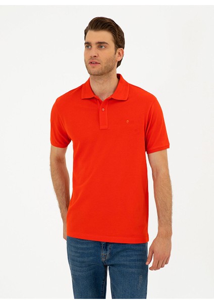 Düz Kırmızı Erkek Polo T-Shirt Sunny fiyatları