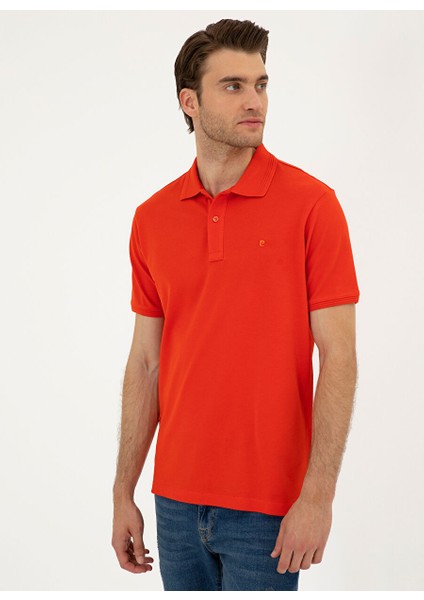 Düz Kırmızı Erkek Polo T-Shirt Sunny fırsatları