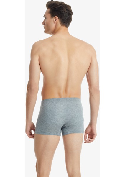 9310 ERKEK SİLVER GRİ BOXER fiyatları