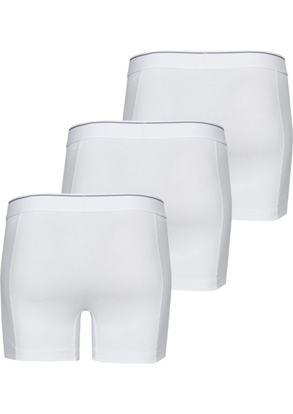 9673 ERKEK TENDER COTTON 3 LÜ BEYAZ BOXER fiyatları