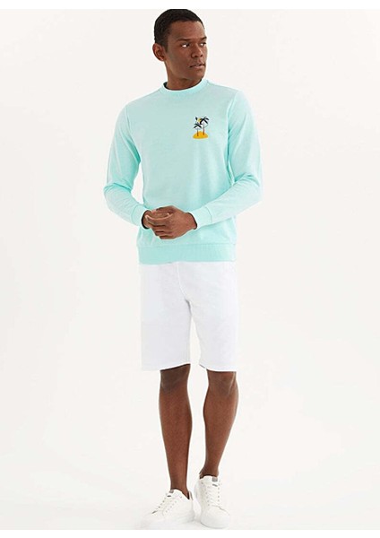 Açık Mavi Baskılı Bisiklet Yaka Pamuklu Regular Fit Erkek Sweatshirt Palm