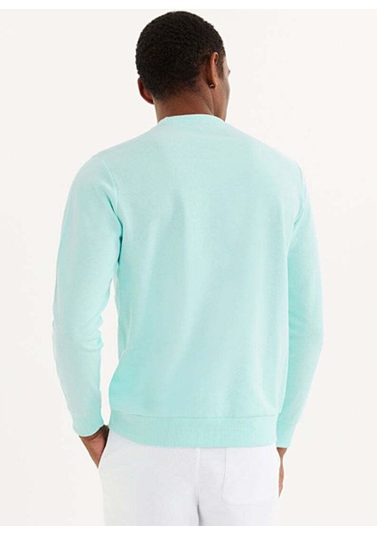 Açık Mavi Baskılı Bisiklet Yaka Pamuklu Regular Fit Erkek Sweatshirt Palm