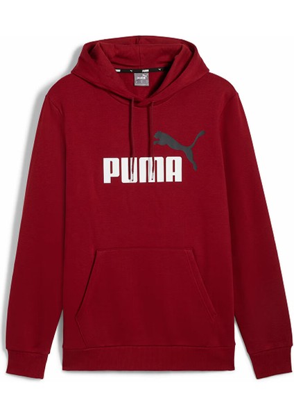 Ess 2 Col Big Logo Erkek Sweatshirt 58676412