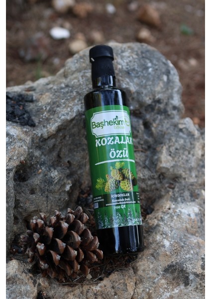Kozalak Özü 700 gr Soğuk Press Yerli Kozalak Katkısız Saf Isıl Işlem Görmemiş fiyatları