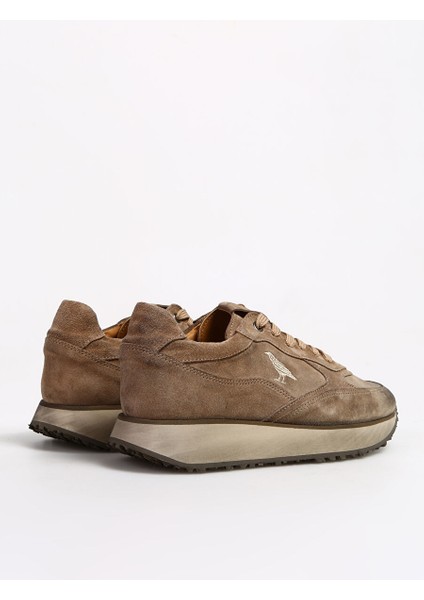 Bej Erkek Süet Sneaker Callısto