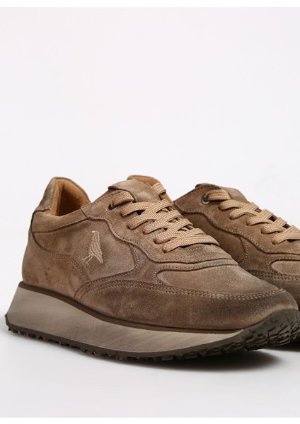 Bej Erkek Süet Sneaker Callısto