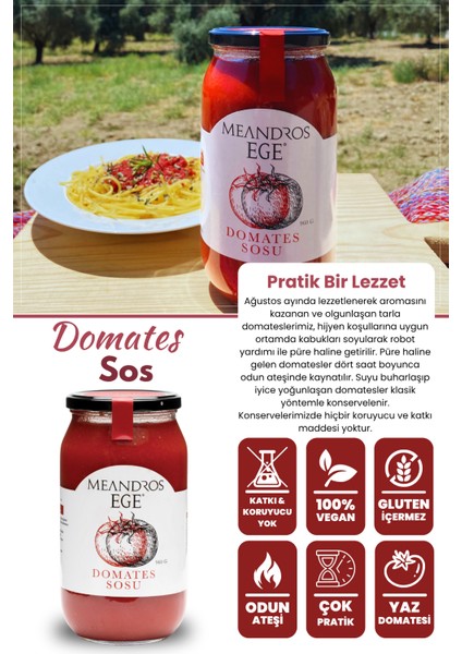 Domates Sosu (Yaz Domatesi - Domates Püresi) 960 gr fiyatları