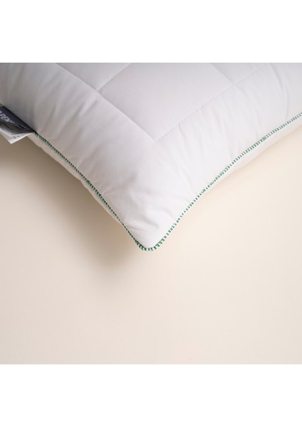 Thermoclean Yastık 50x70 cm