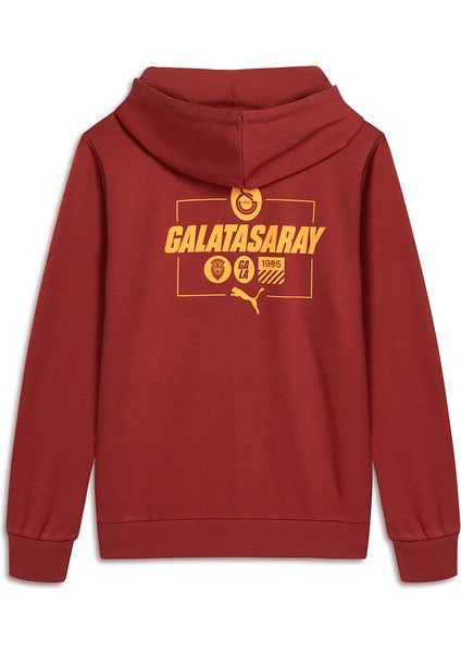 Galatasaray Puma Culture Kapüşonlu Sweatshirt 78291901 fiyatları