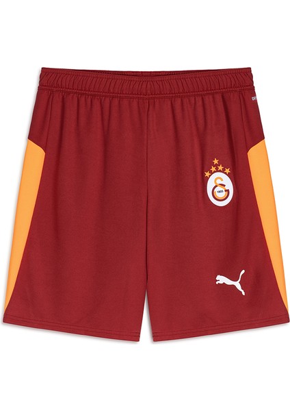 Galatasaray Puma 2025/2026 Iç Saha Parçalı Şort 77982301